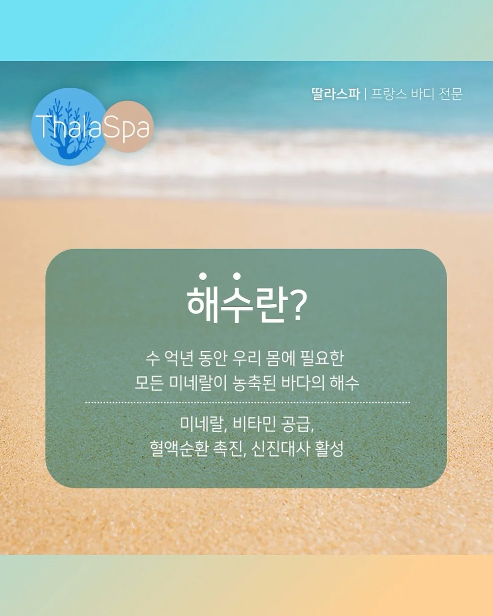 디즈니 베이비 푸우 순면 티셔츠 6