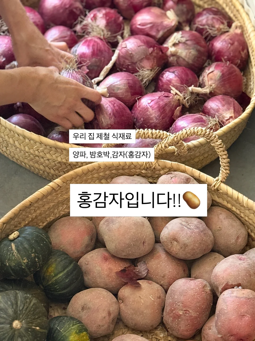 썸머 스카프 2