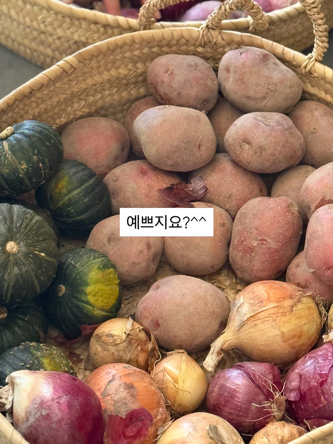 썸머 스카프 3