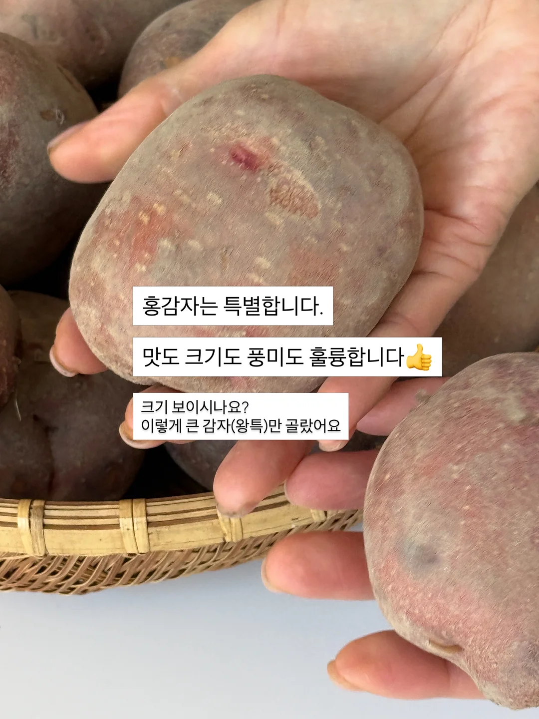 썸머 스카프 4