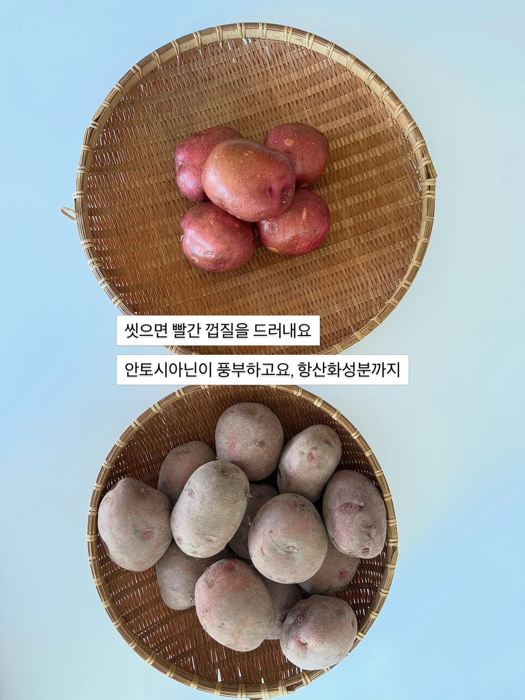 썸머 스카프 5