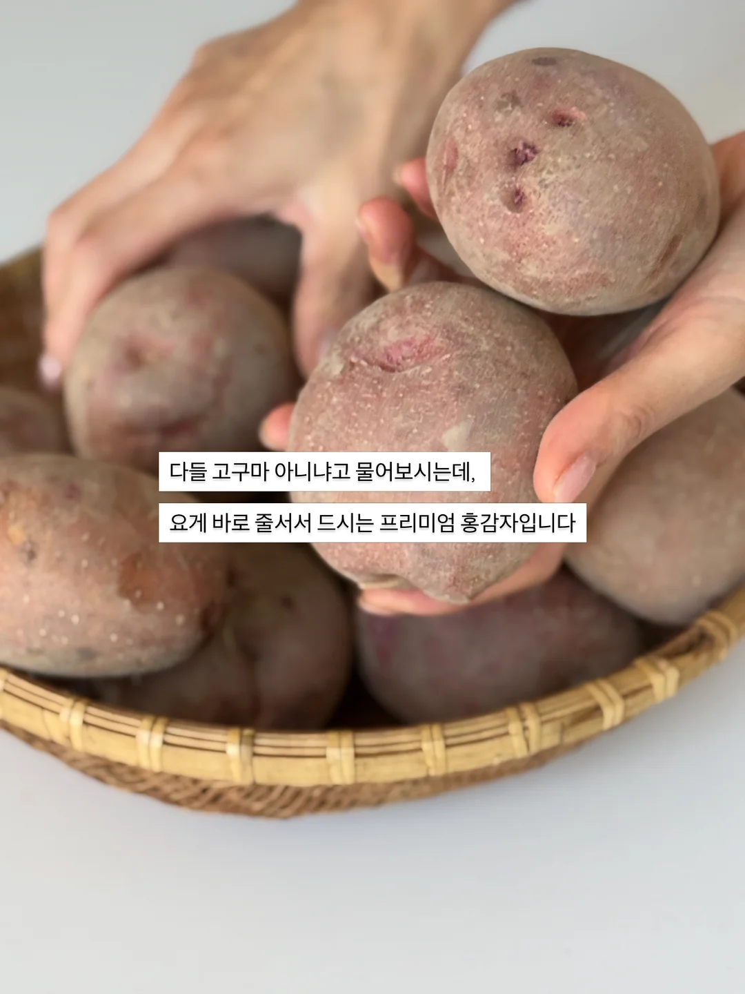 썸머 스카프 6