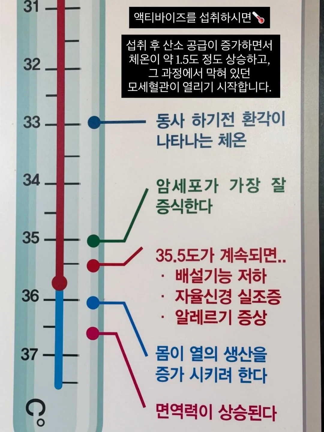 무타공 블라인드 8