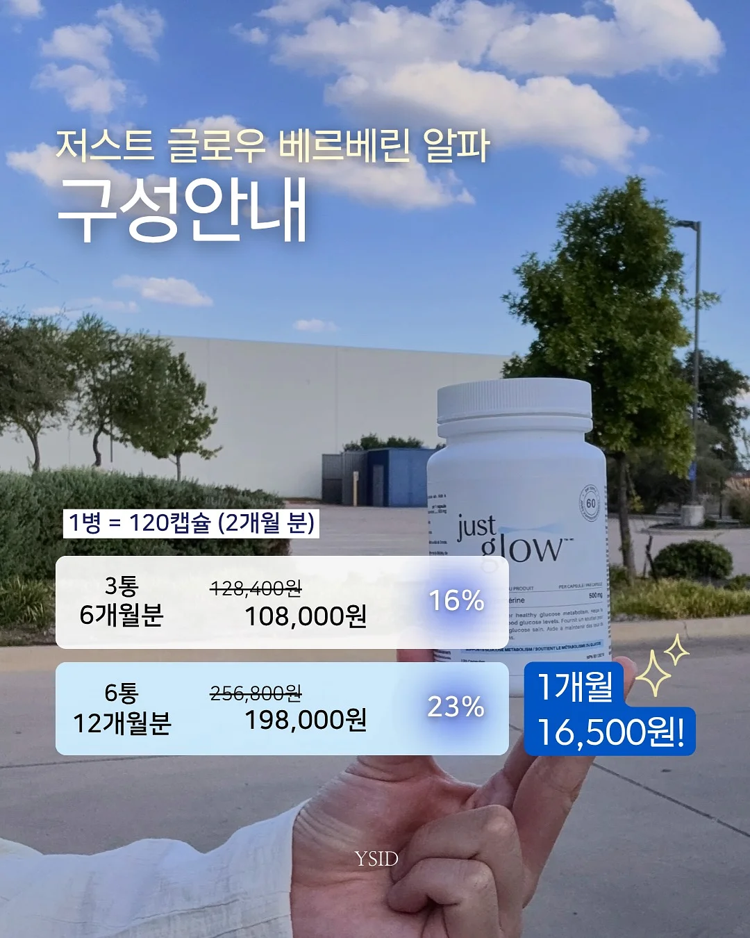 보라톡스 보라효소 10
