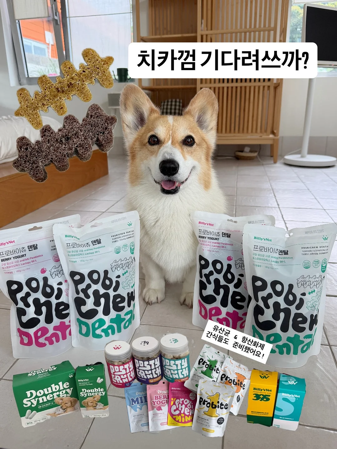 돌리 드레스 1