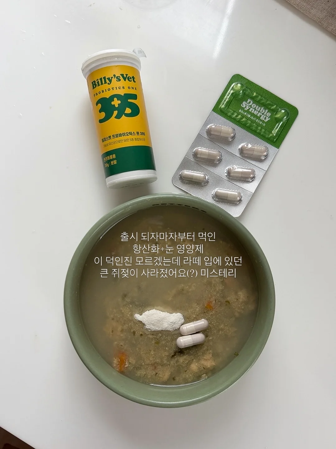 돌리 드레스 11