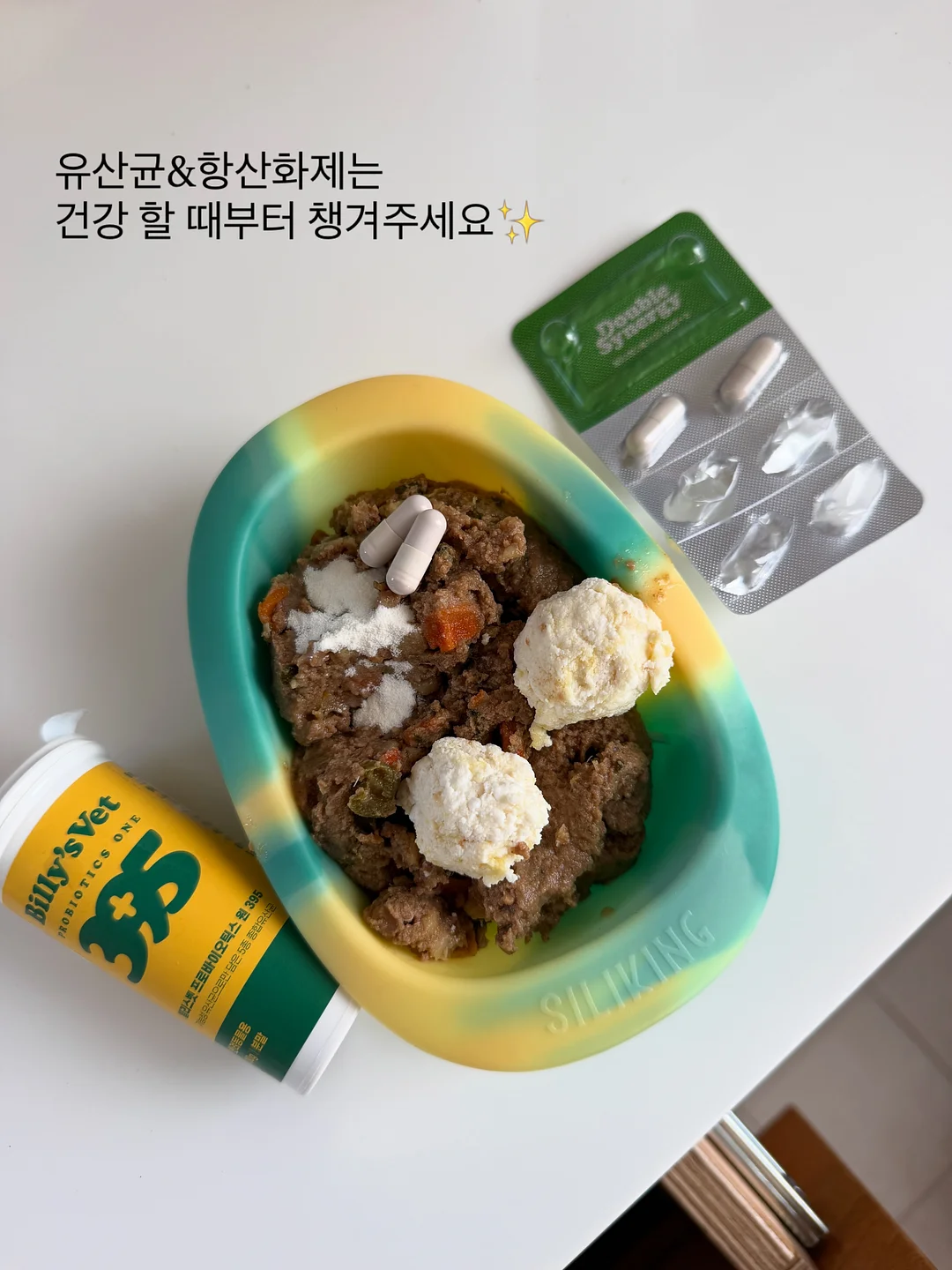 돌리 드레스 14
