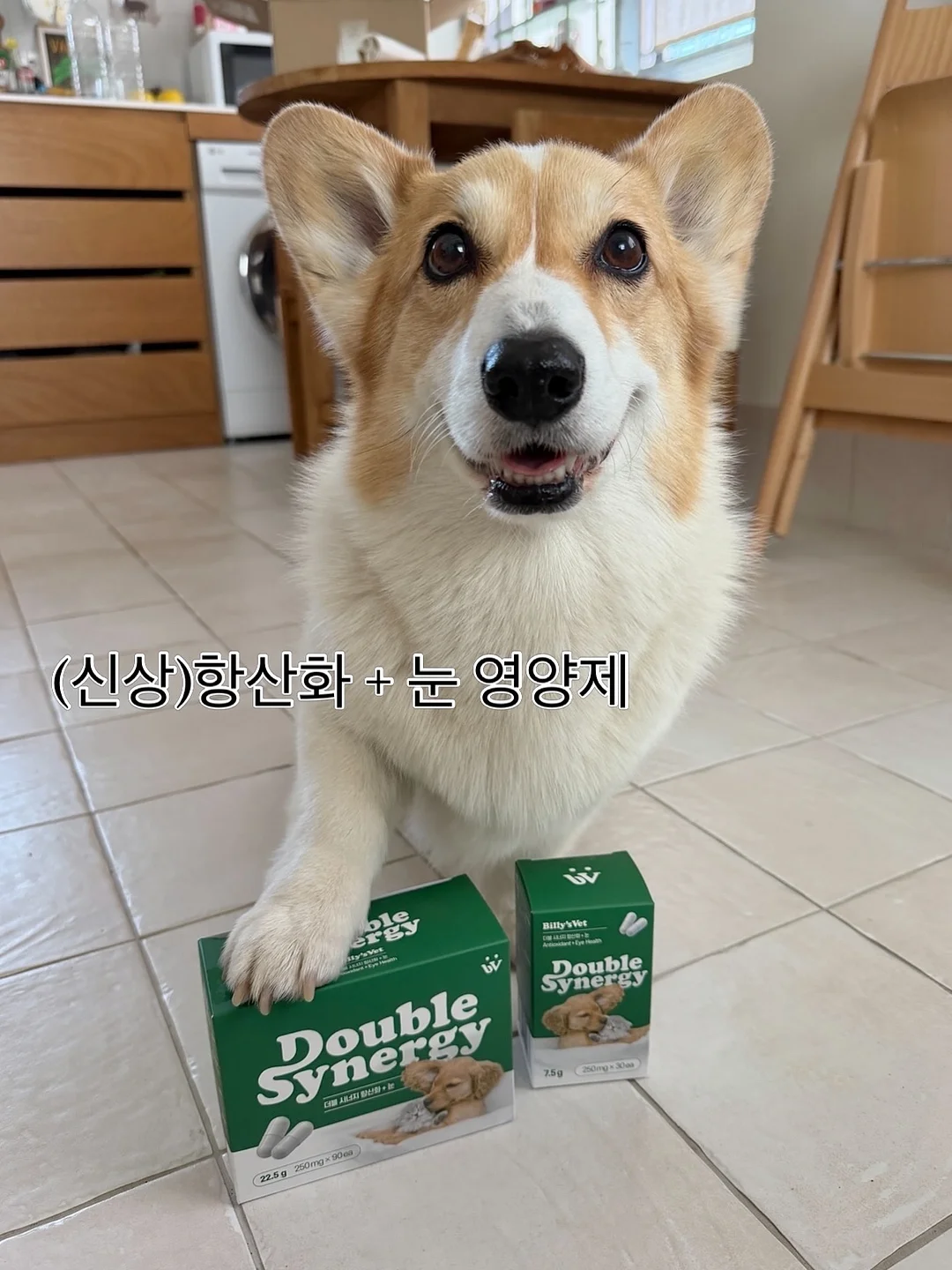 돌리 드레스 15