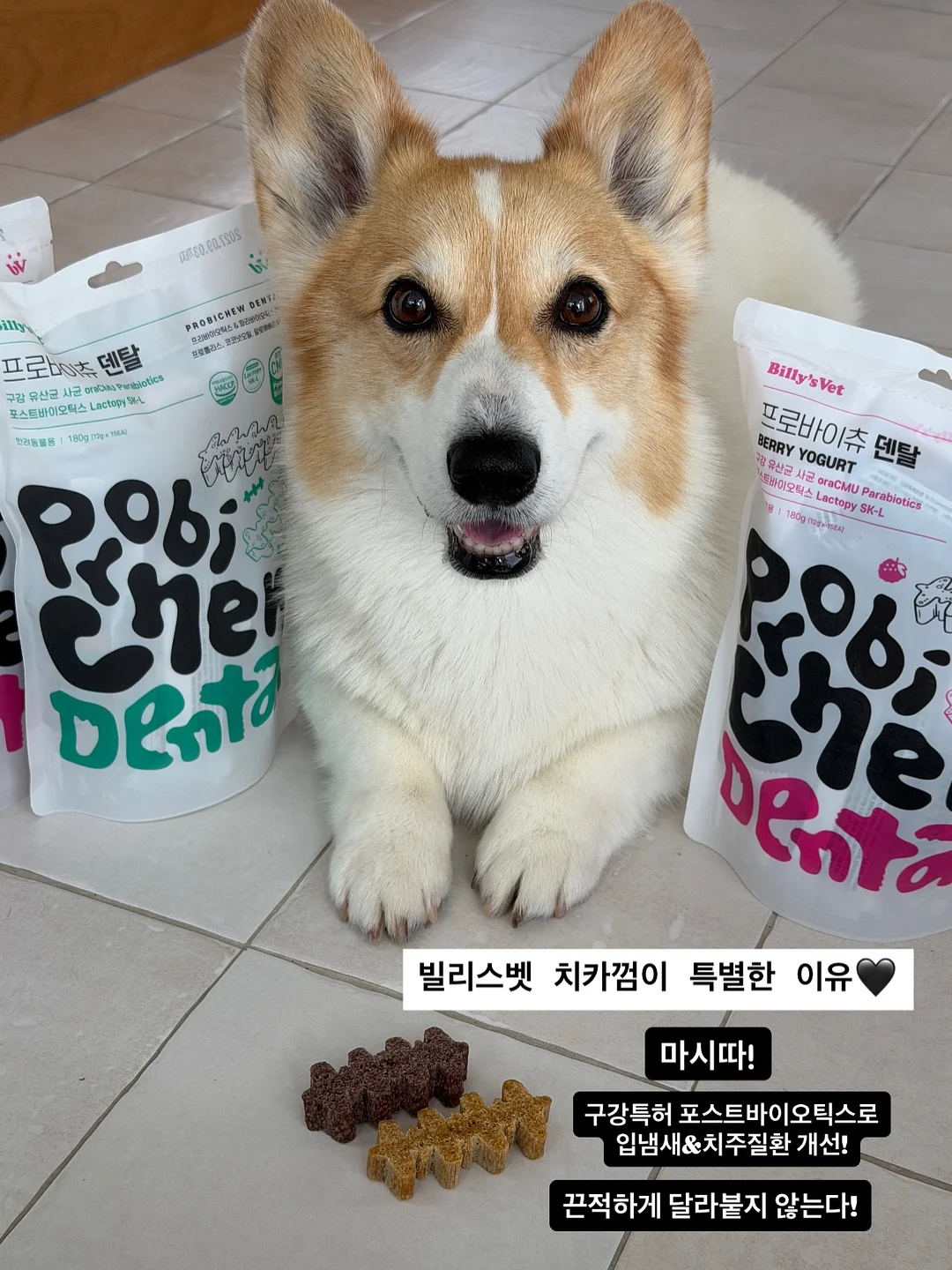 돌리 드레스 2