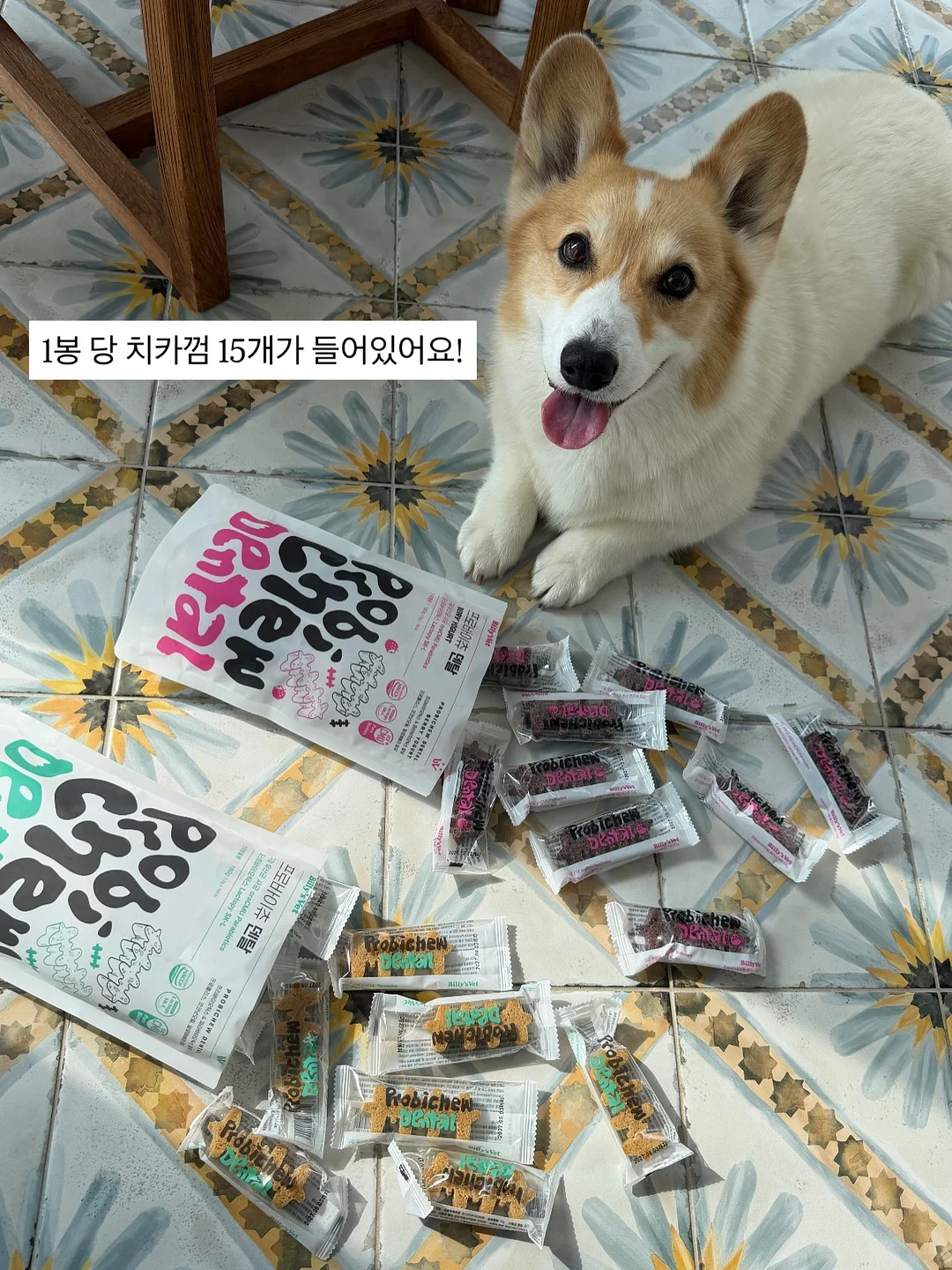 돌리 드레스 3