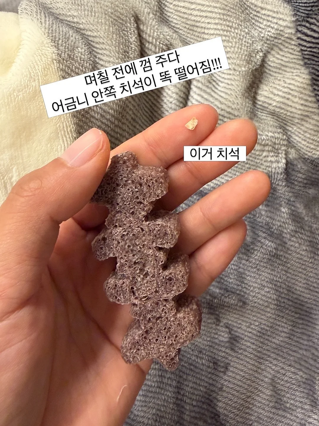 돌리 드레스 5