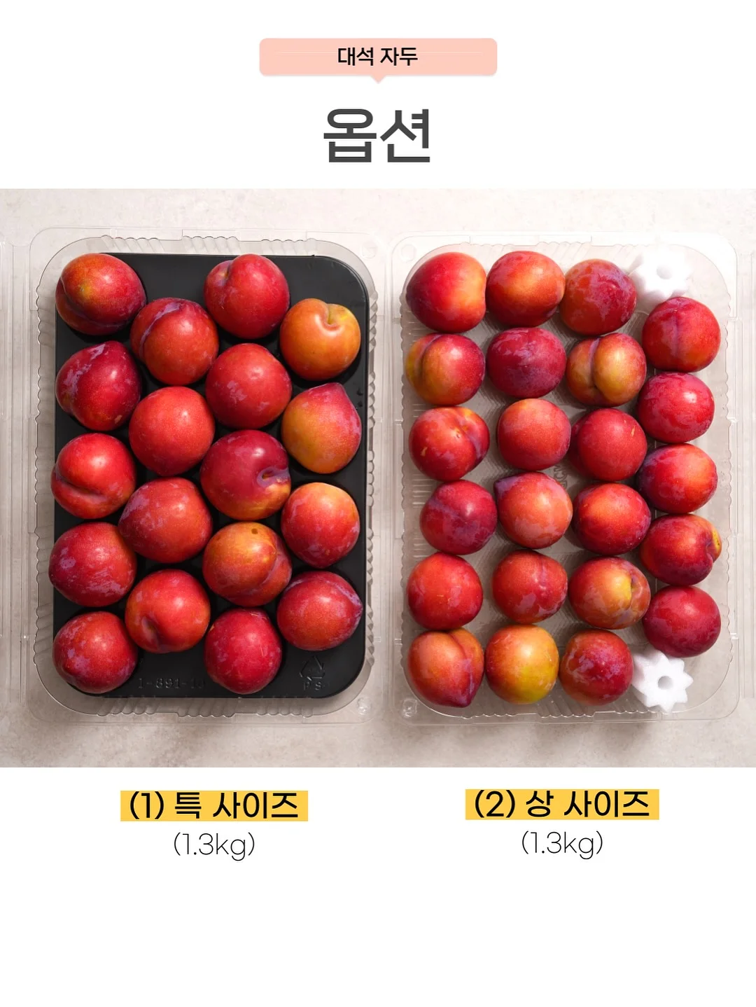 Lémo 풀세트 2