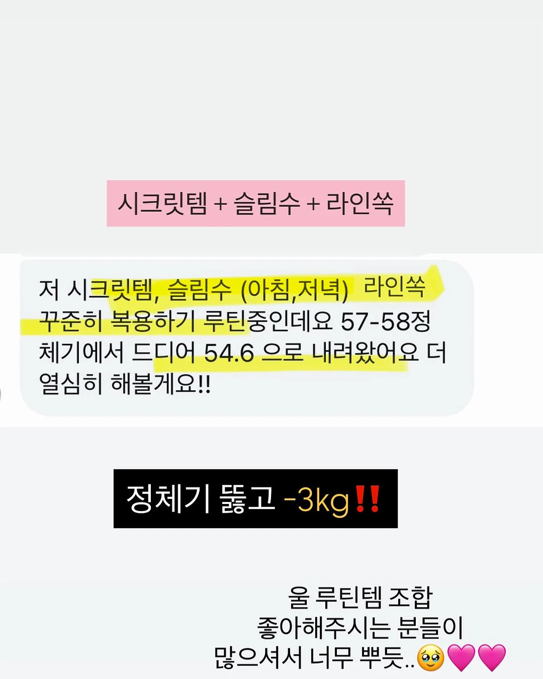 핑크블로보섬 9