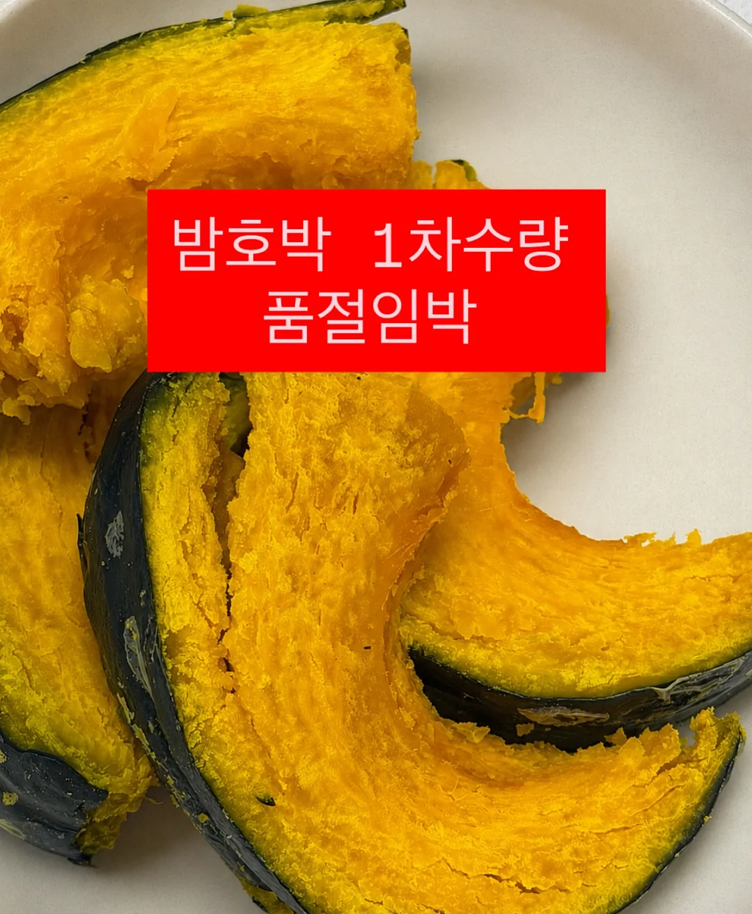 망고 새우 아보카도 샐러드