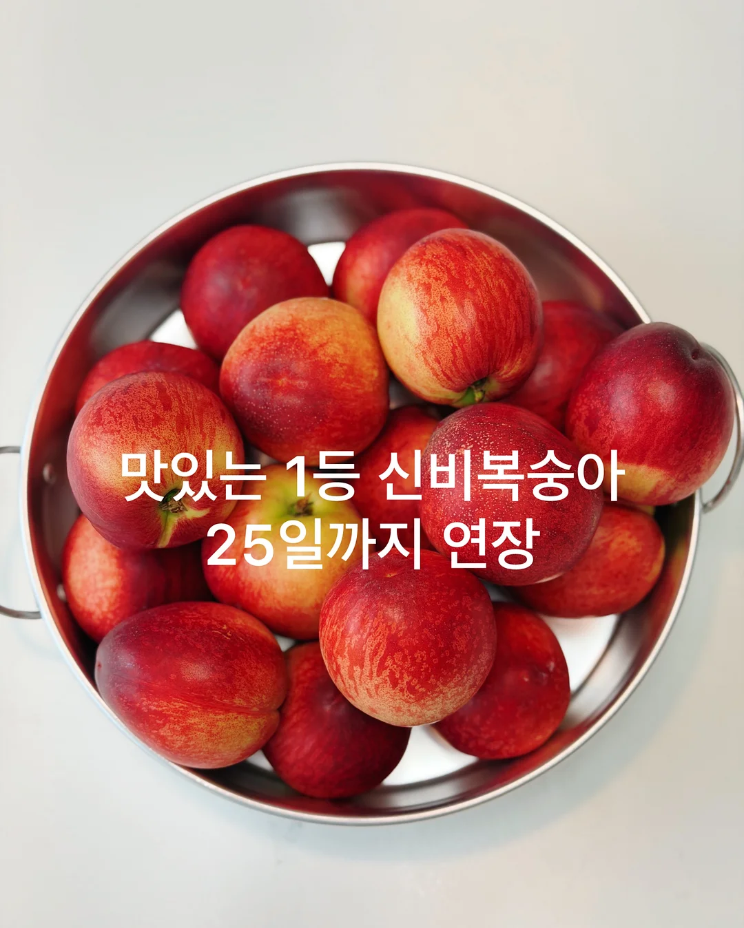 펀칭 레이스 세트 1