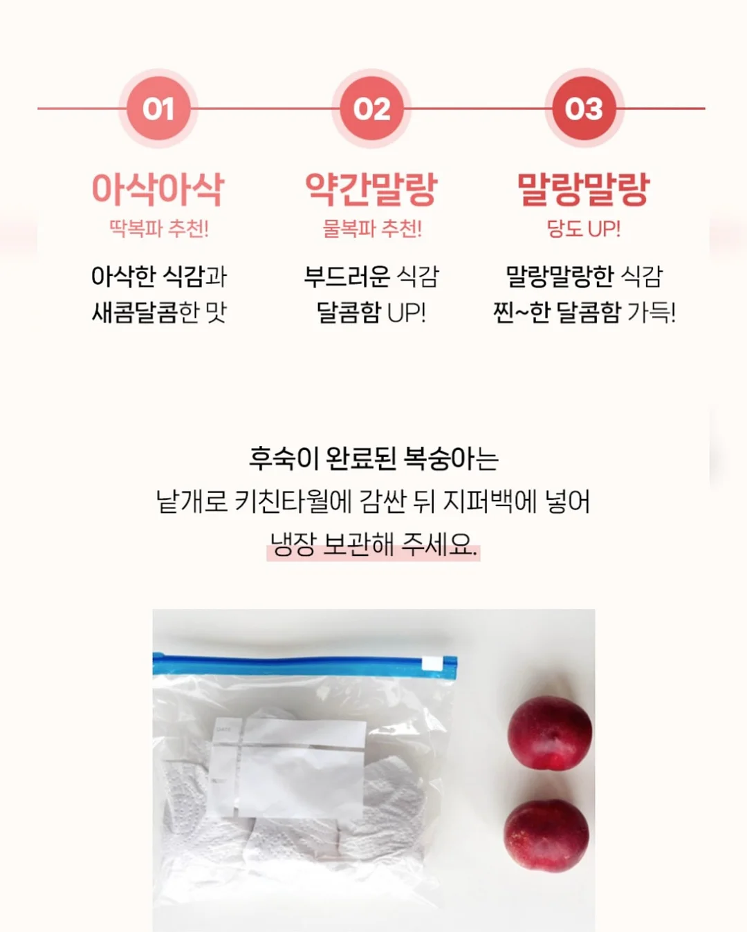 펀칭 레이스 세트 11