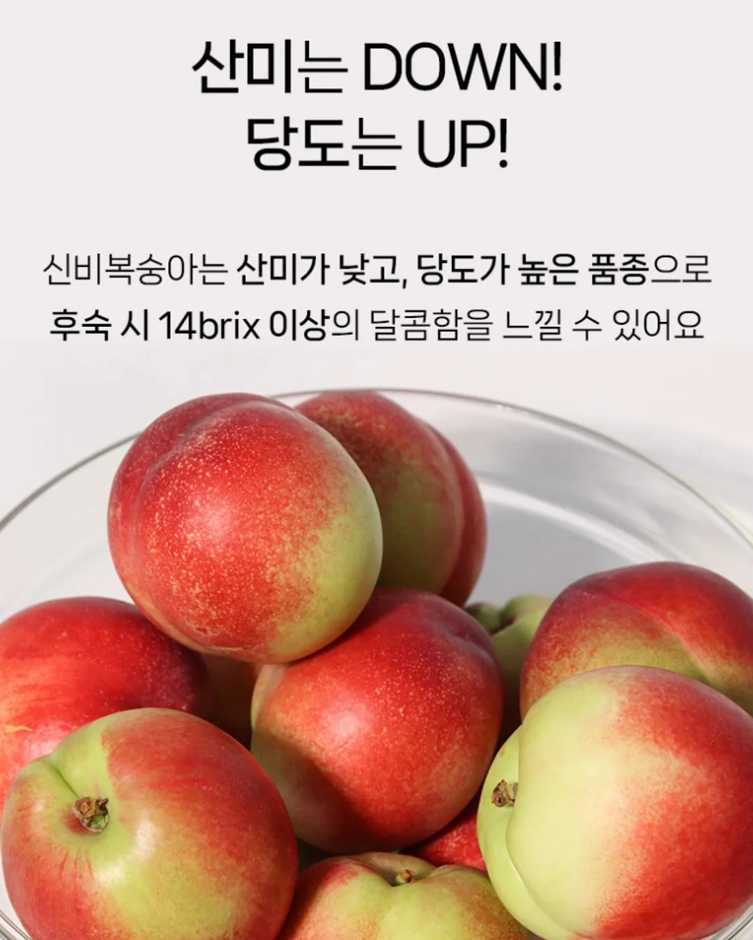펀칭 레이스 세트 12