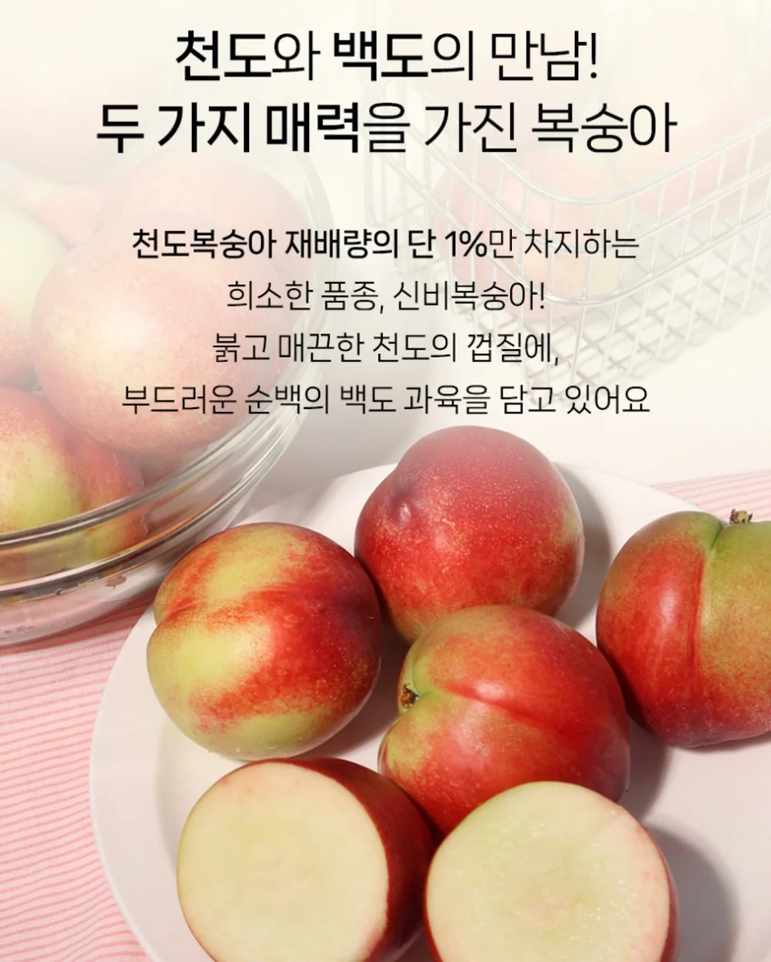 펀칭 레이스 세트 13