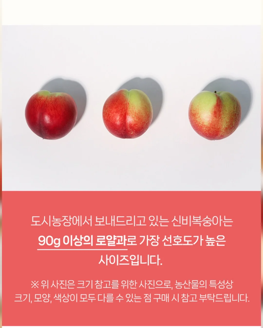 펀칭 레이스 세트 14