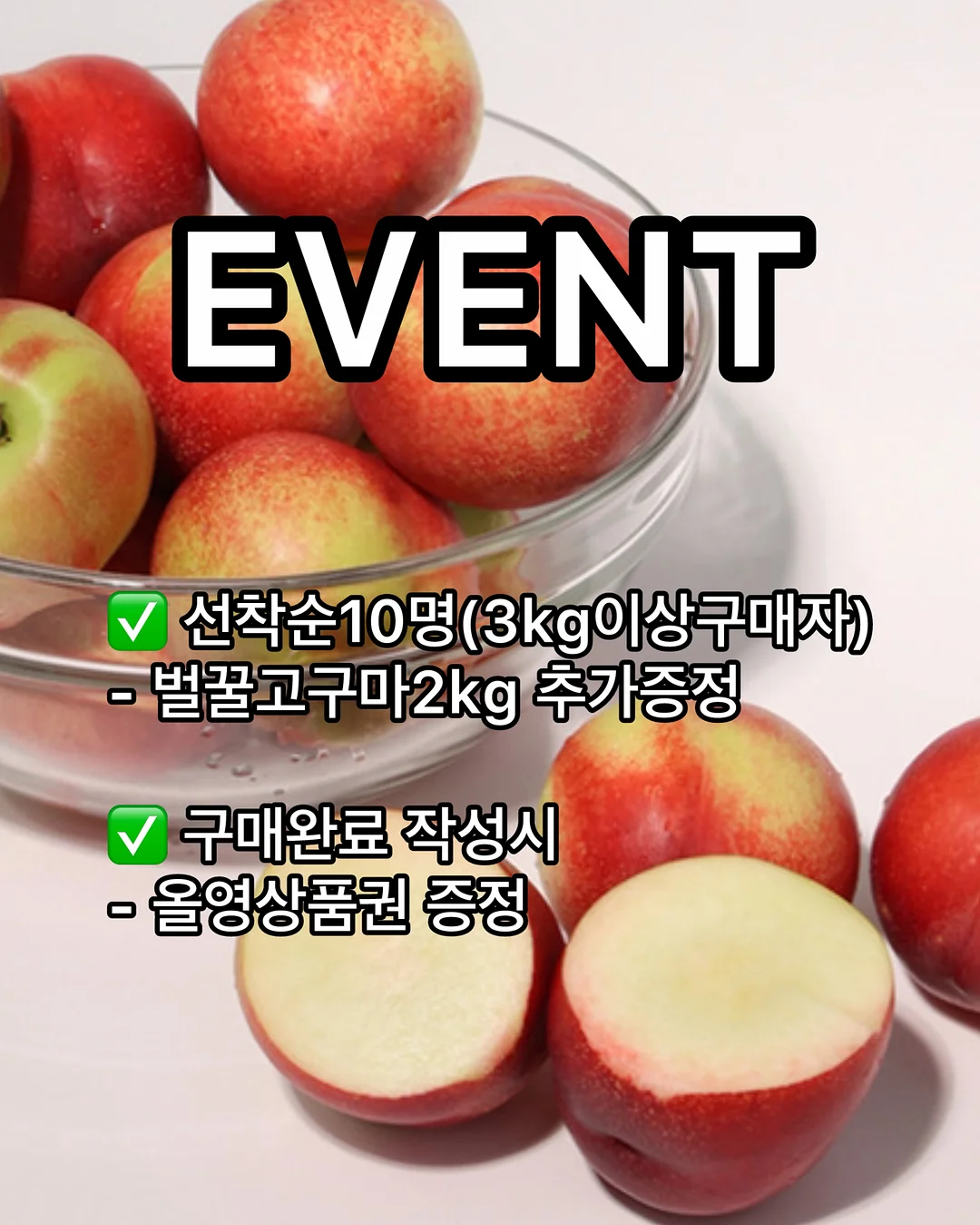 펀칭 레이스 세트 8