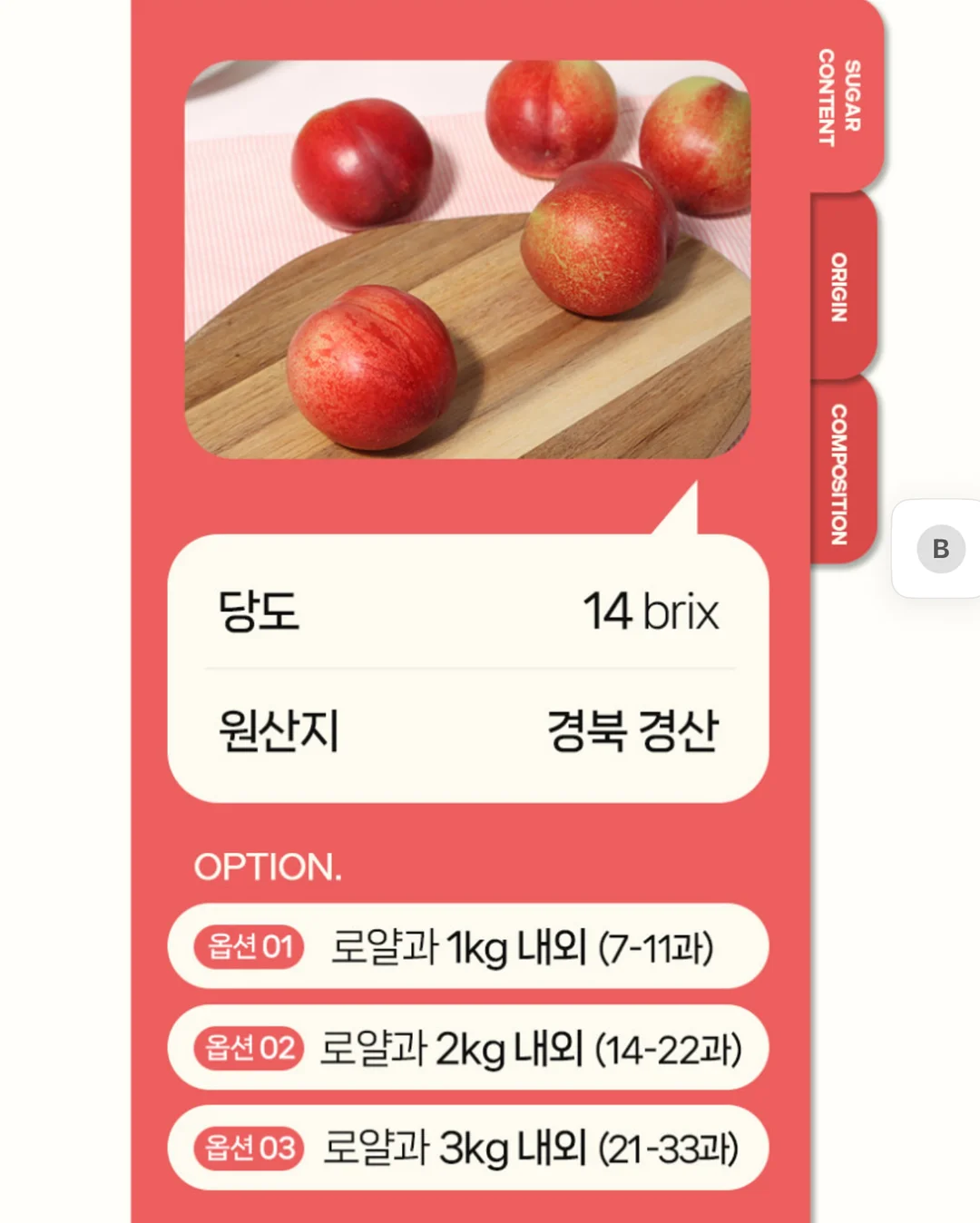 펀칭 레이스 세트 9
