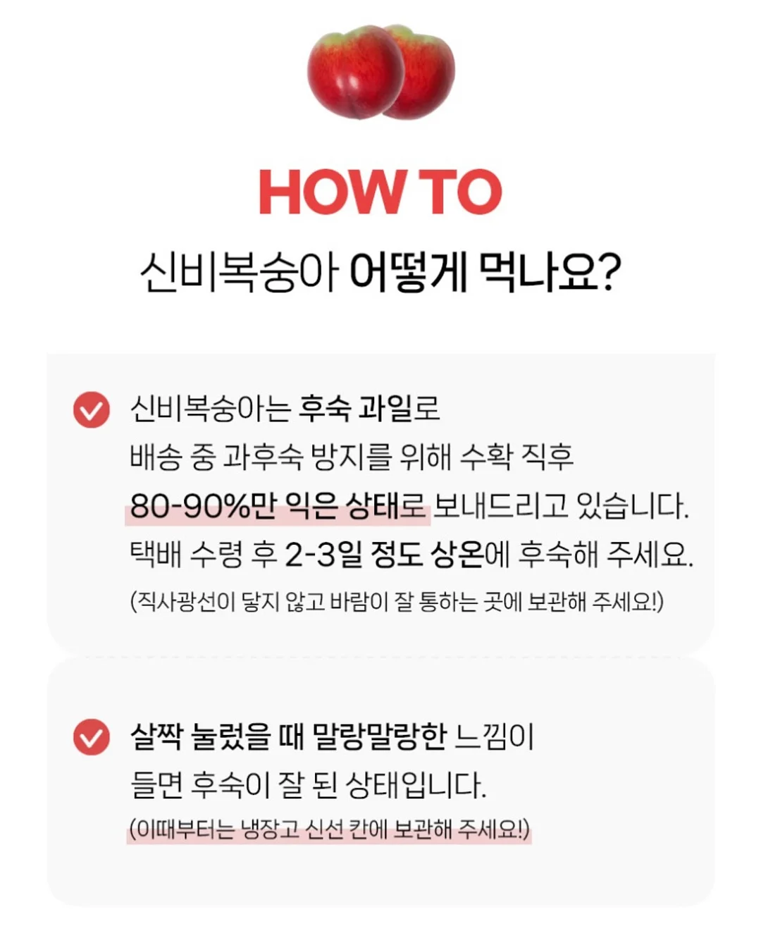 펀칭 레이스 세트 10