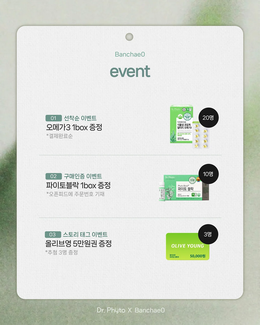 답례 3구 / 호두정과 백설기 꽃송편 2