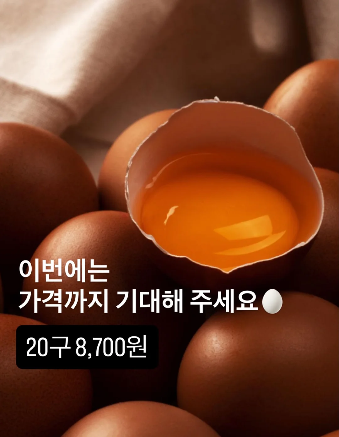 코코넛 롤 12