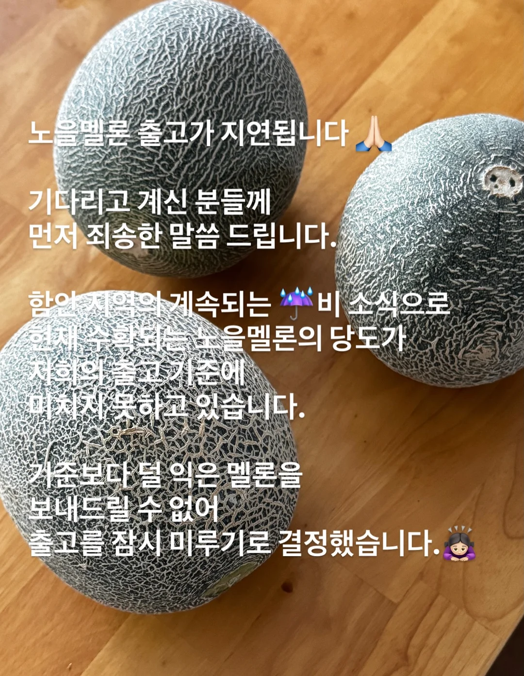 코코넛 롤 17