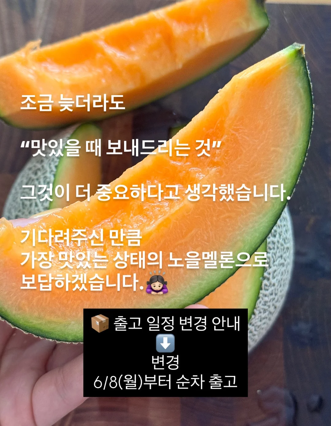 코코넛 롤 18