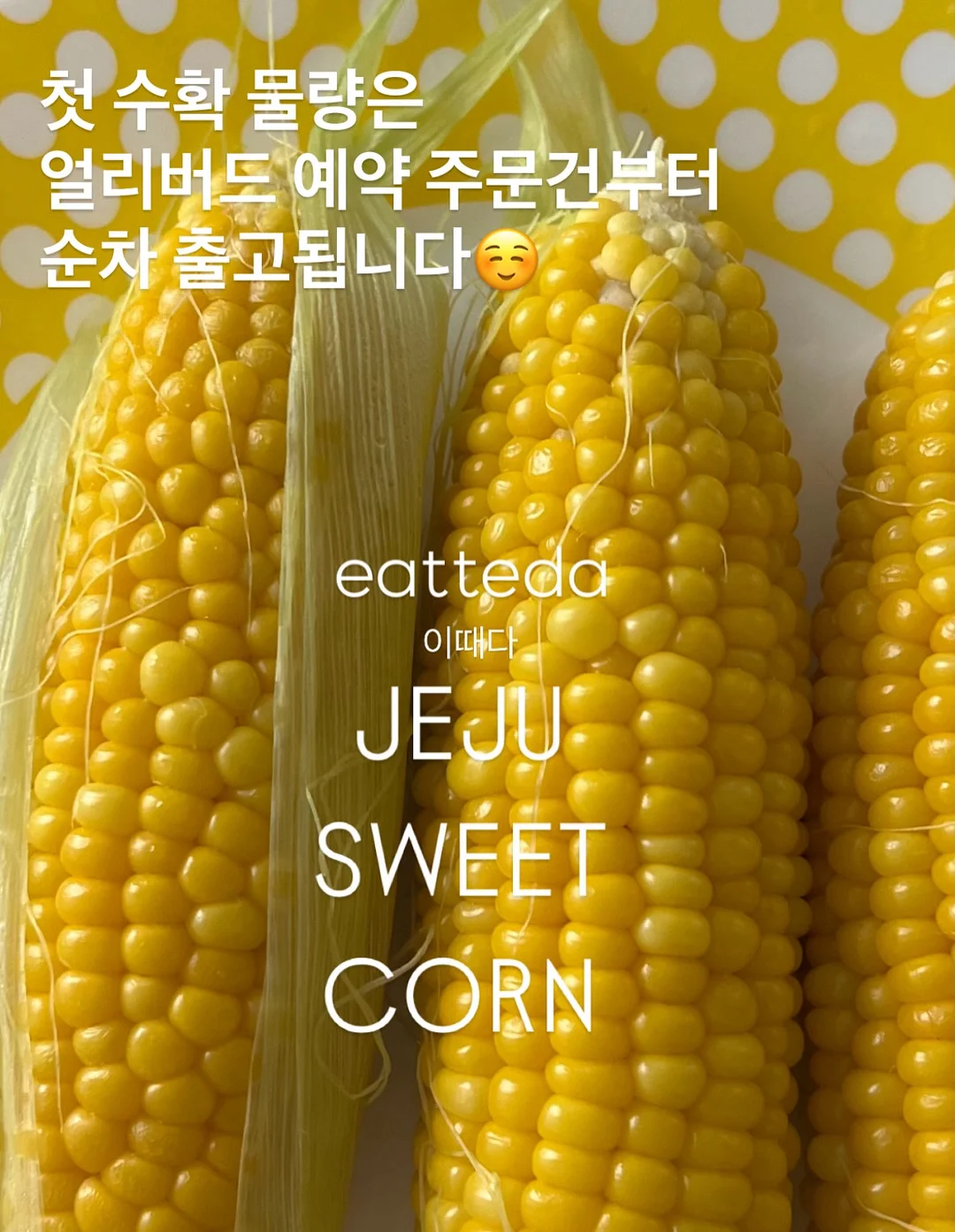 코코넛 롤 4