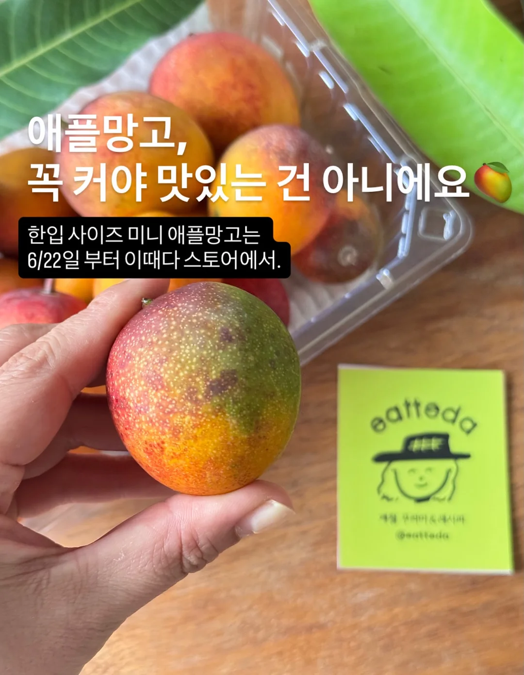 코코넛 롤 8