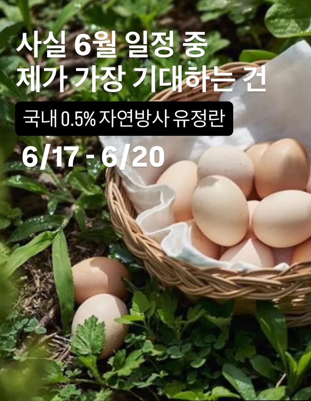 코코넛 롤 9