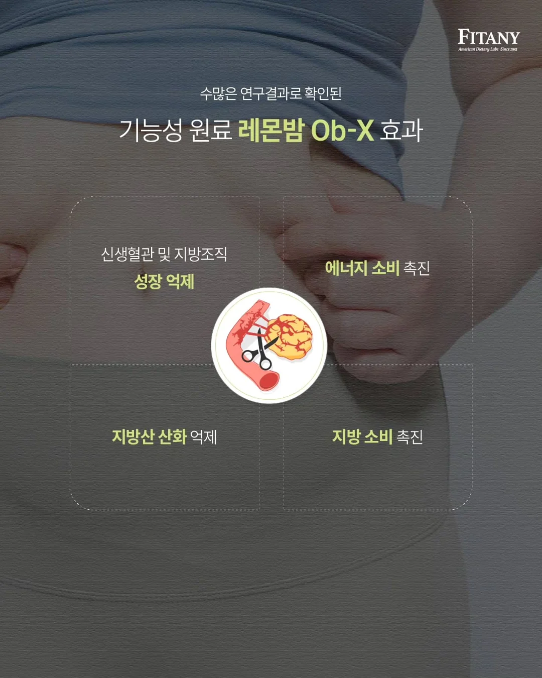 워크북 3종 + 안전가위 세트 9