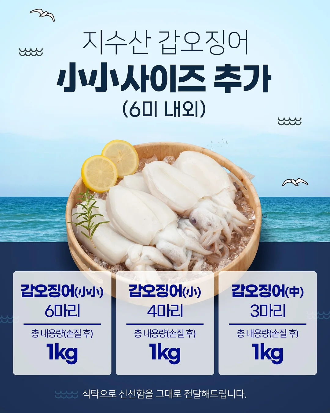 레터링 자켓 2