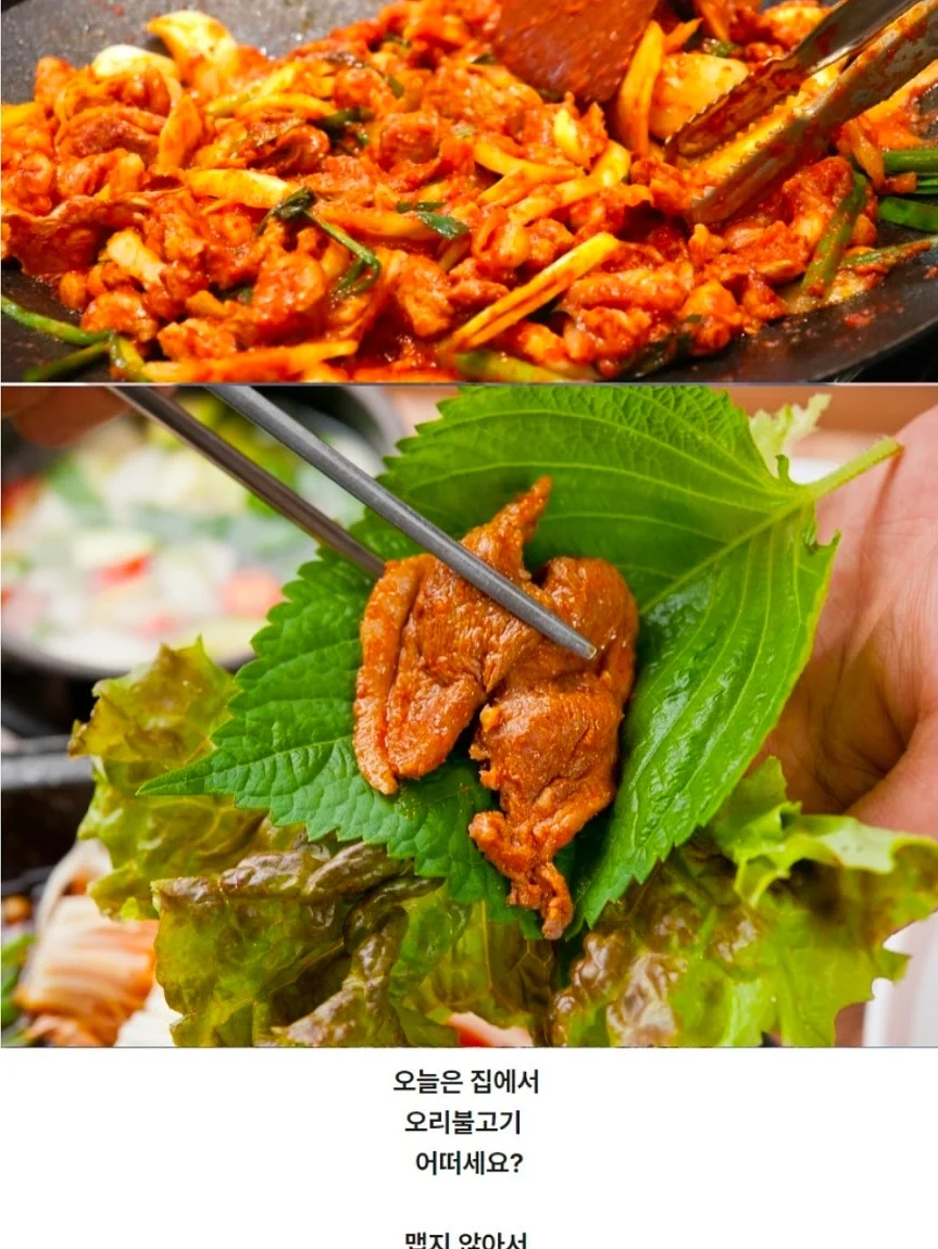 르메 후드 집업 14