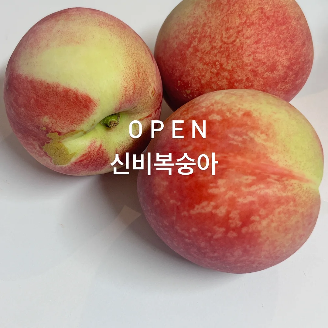 곰팡이 제거제