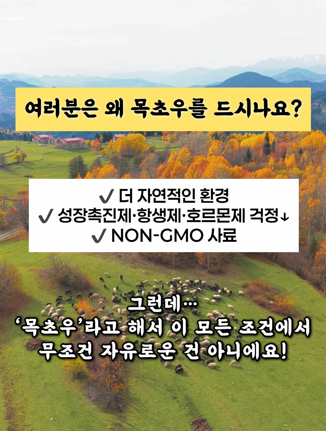 머랭과 새로운 제품들 수업 2
