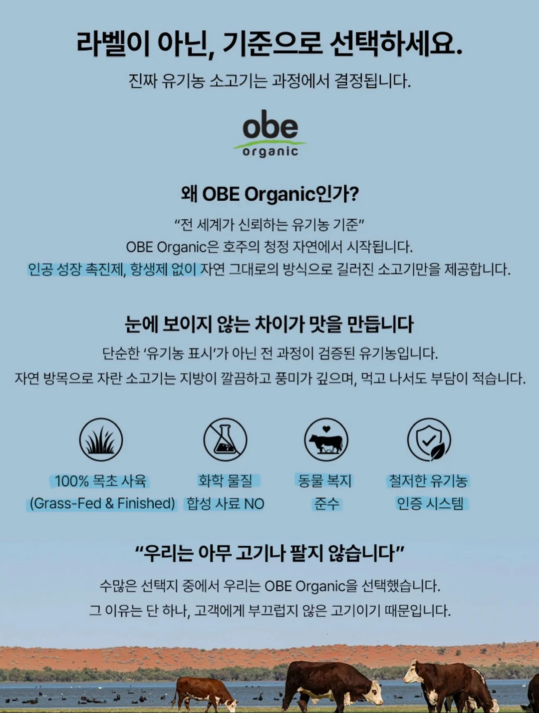 머랭과 새로운 제품들 수업 5