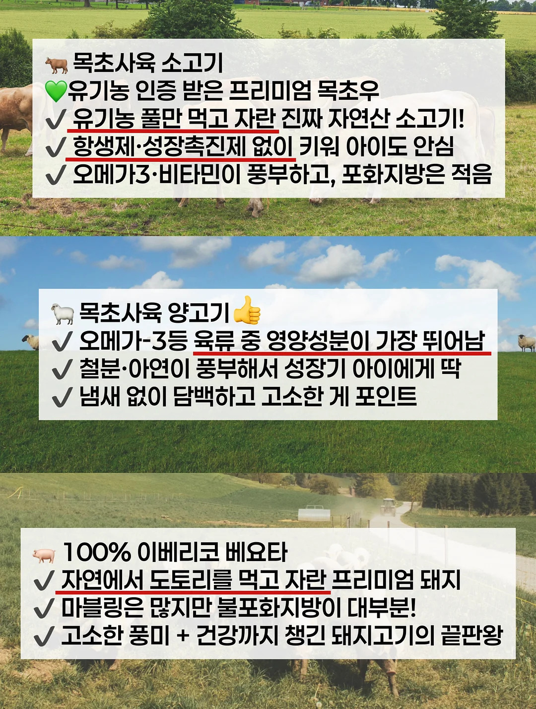 머랭과 새로운 제품들 수업 6