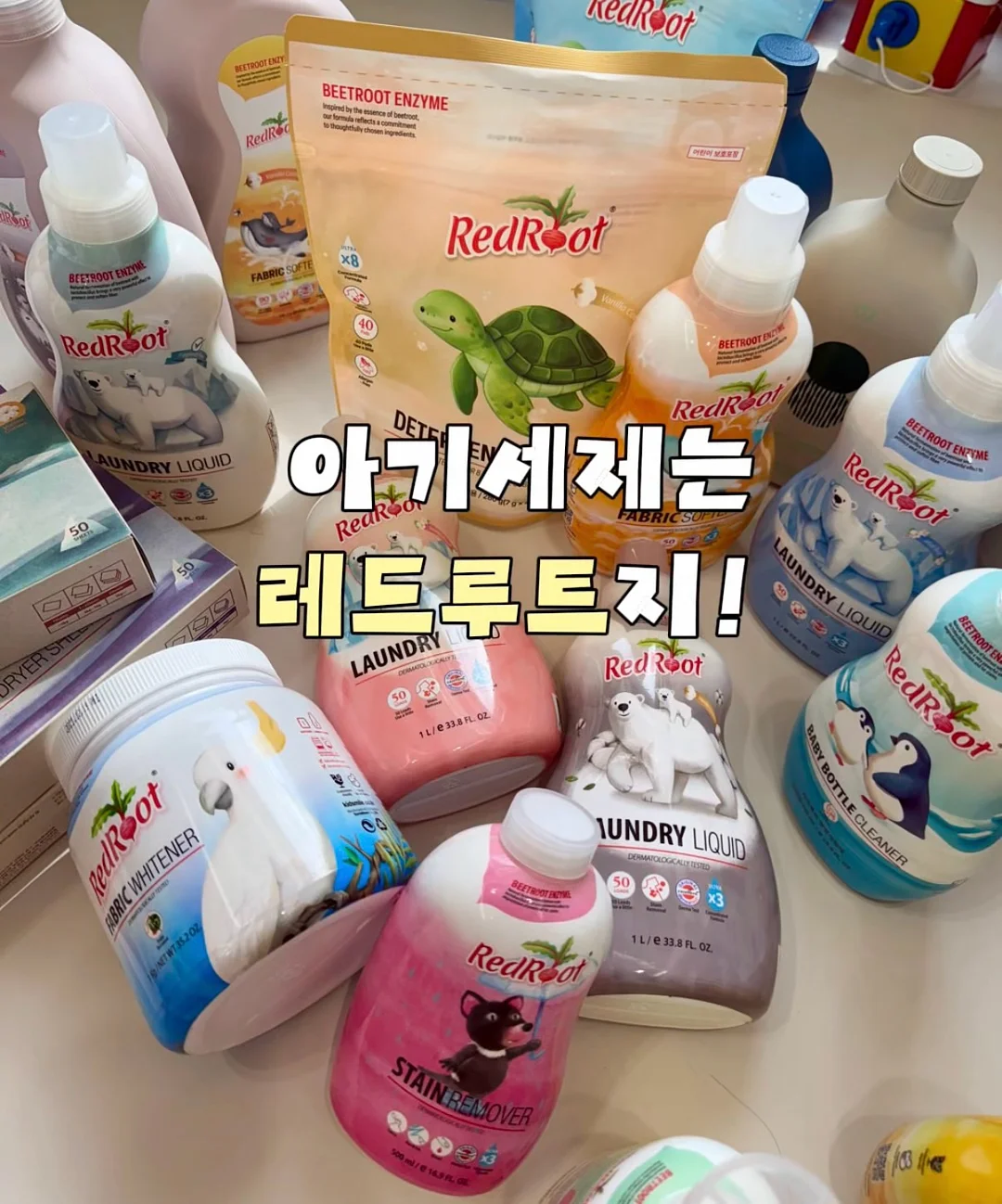 분감자 1