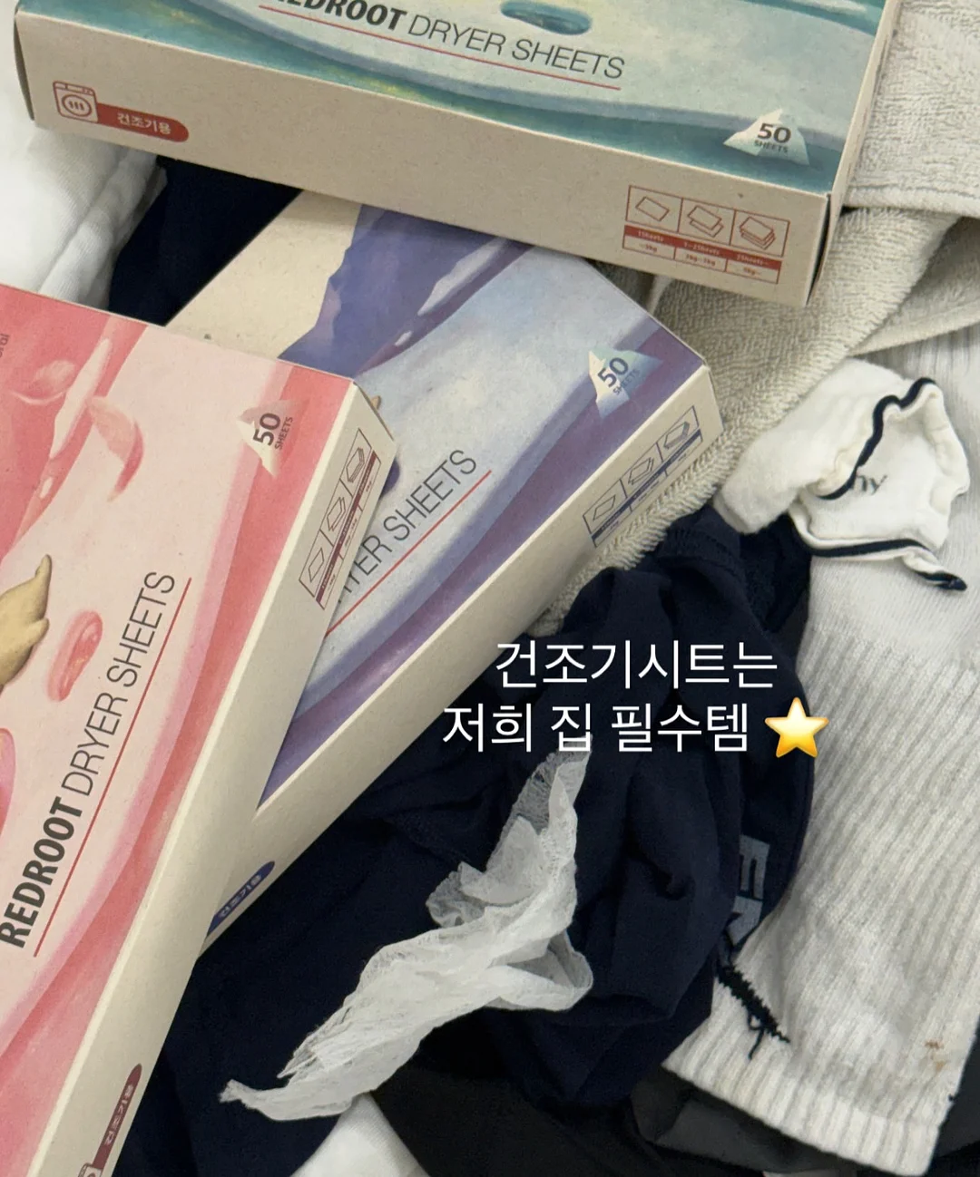 분감자 6