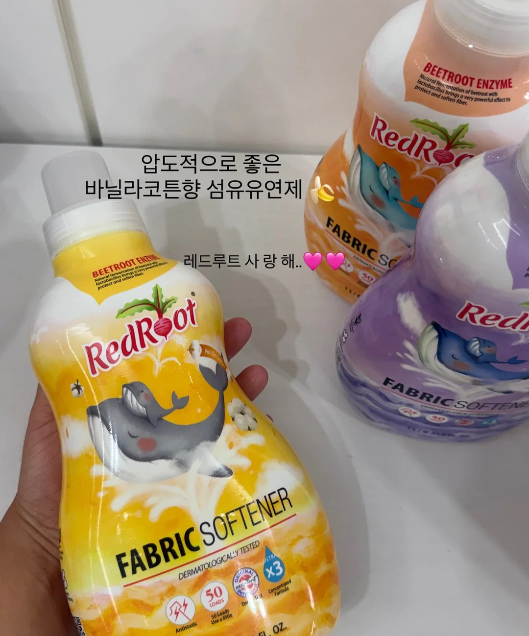 분감자 8