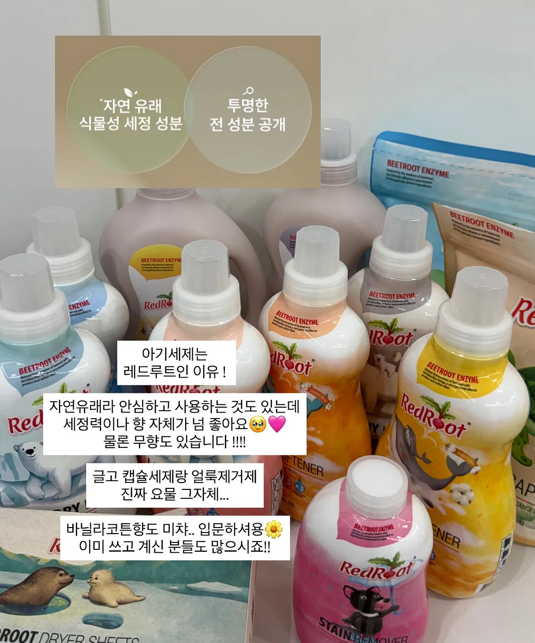 분감자 10