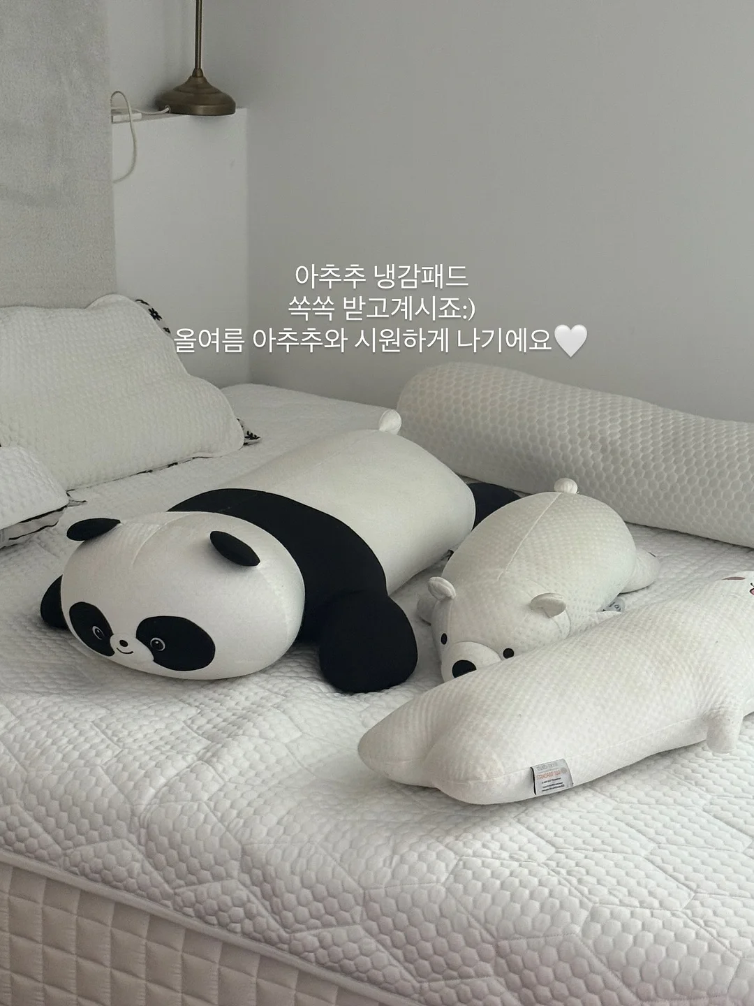 차키 7