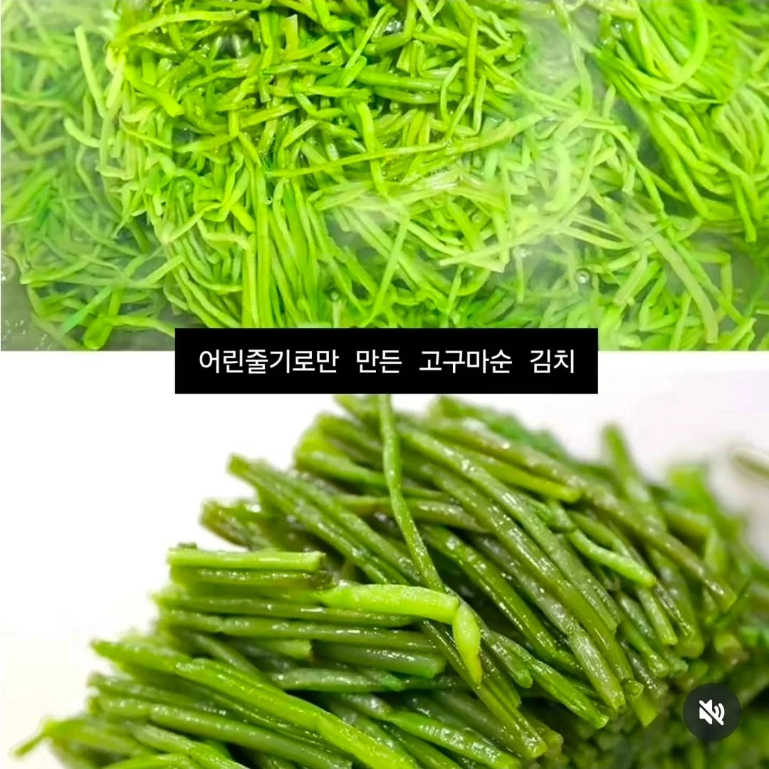 백슬릿 블라우스와 핀턱 벌룬 팬츠 세트 9