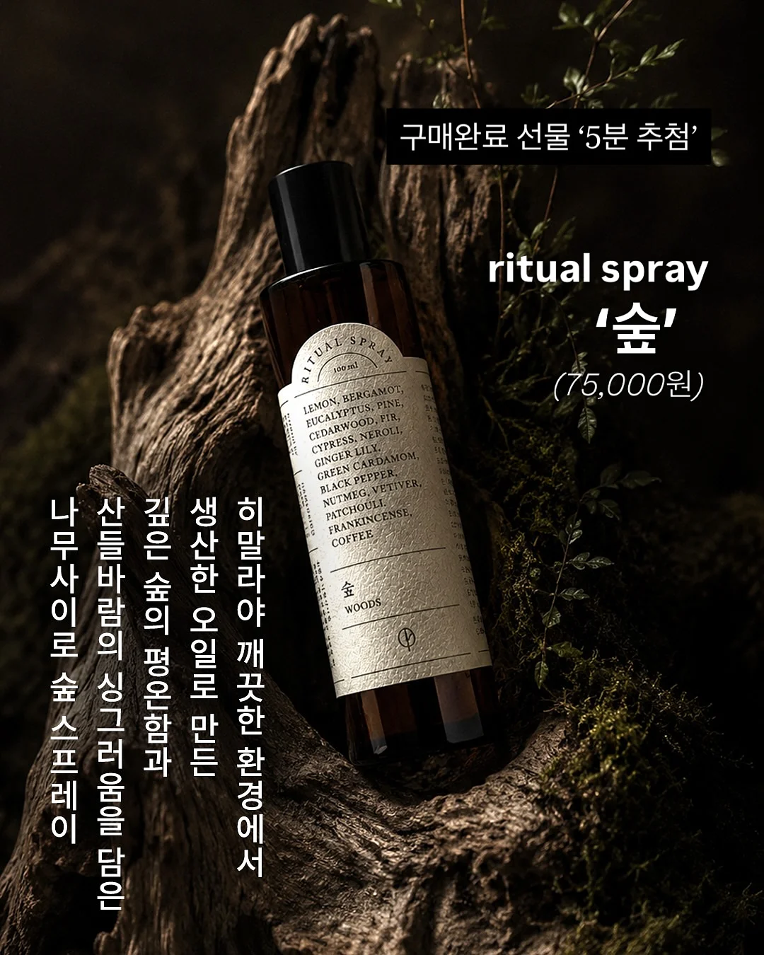 몽클레어 로고 패치 반팔 9
