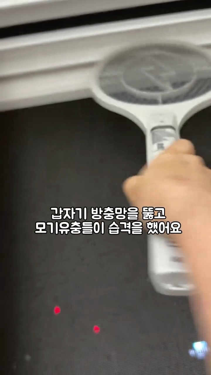 벨티드 언발 와이드 셋업