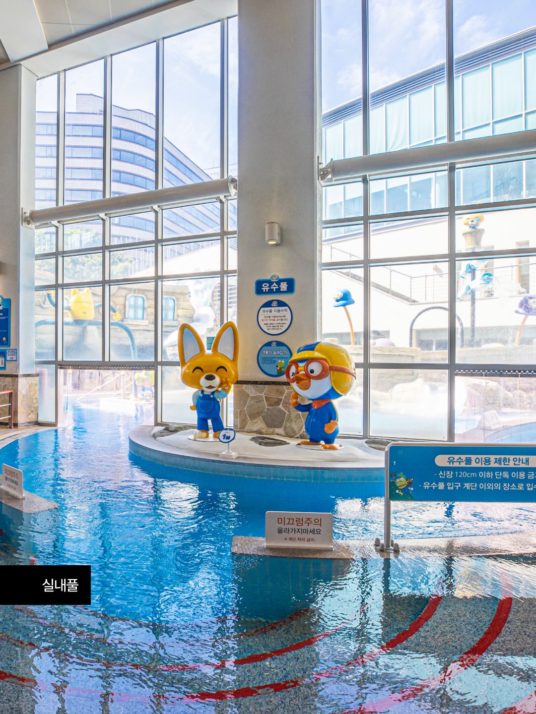 데일리 낙산균 8