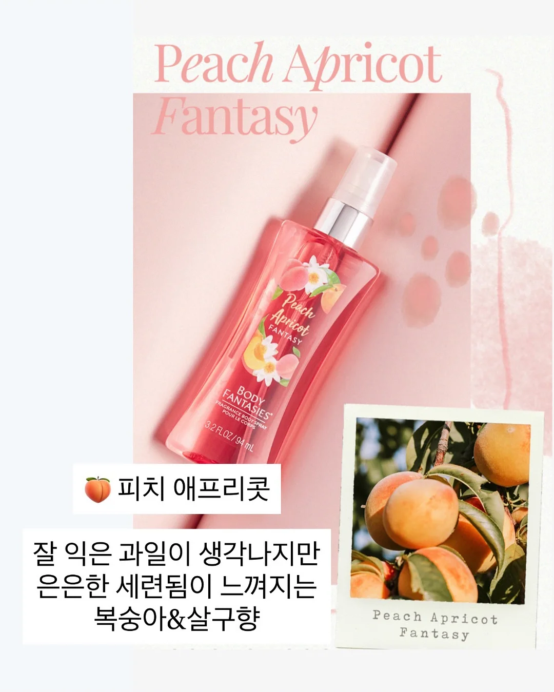 시크 쓰리피스 6